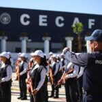 En El Marqués ya saben qué hacer con tu arbolito navideño… y no es tirarlo en la esquina