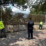 De un Charger al veterinario: rescatan a mono araña en operativo en Querétaro